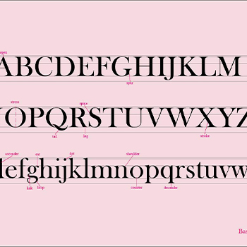 typograpgy project